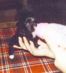 1998-80 old