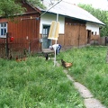 2005-06-20 12-23-06