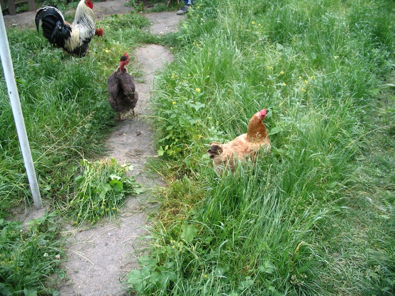2005-06-20_12-23-14.JPG
