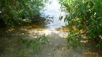 P1050266