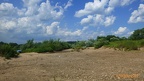 P1050271
